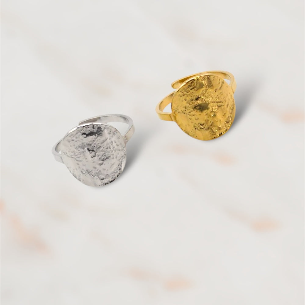 
                      
                        BAGUE ACIER AYLINE
                      
                    