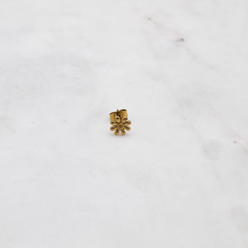BOUCLE LIZ - ZAORA